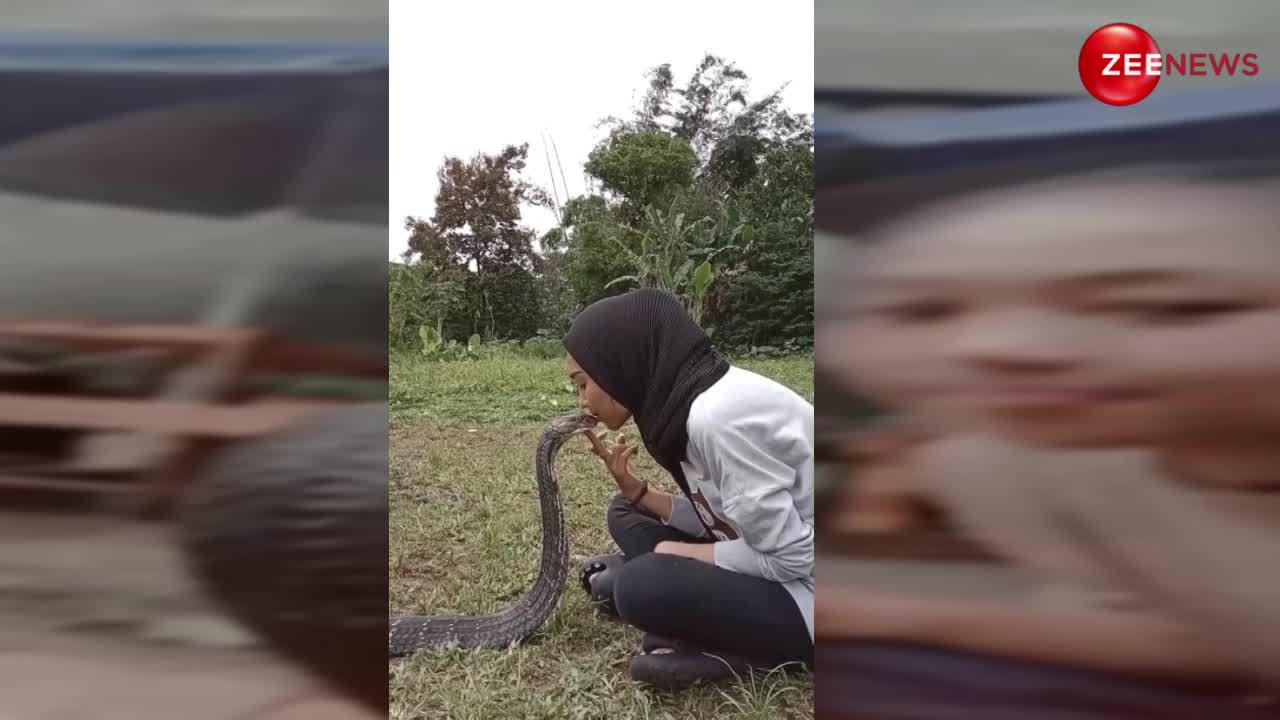 हिजाब पहन लड़की ने किया कोबरा को Kiss, वीडियो देख सहम जाएगा दिल