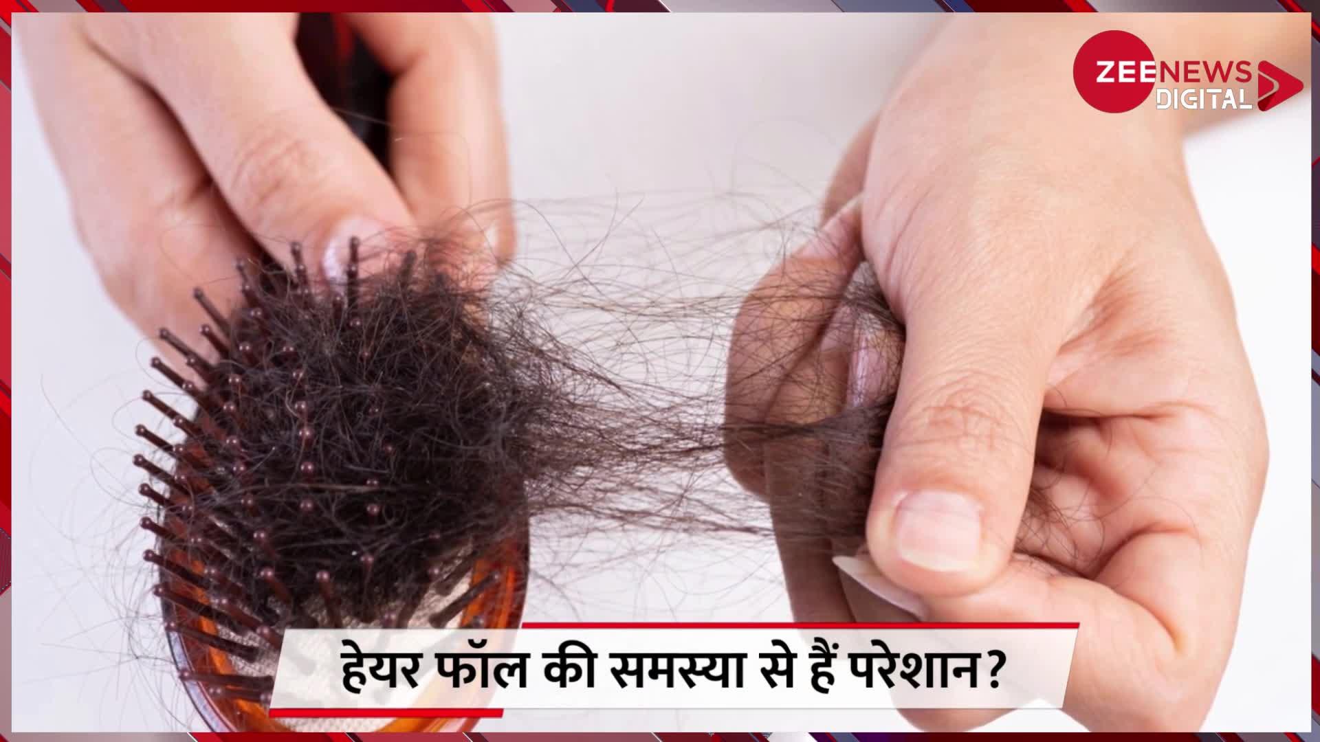 Hair Care Tips: हेयर फॉल की समस्या से हैं परेशान? तो कद्दू के बीज का इस तरह से करें इस्तेमाल