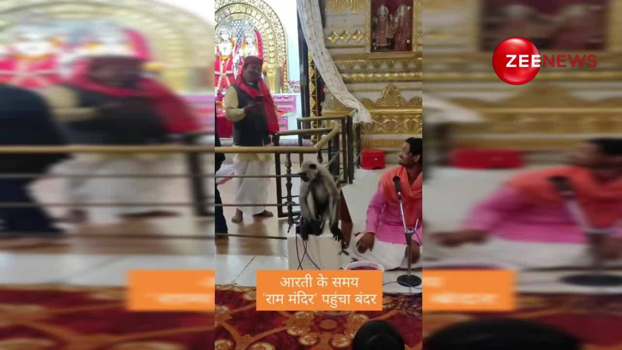 आरती के समय 'राम मंदिर' पहुंचा बंदर, देखिए वायरल वीडियो