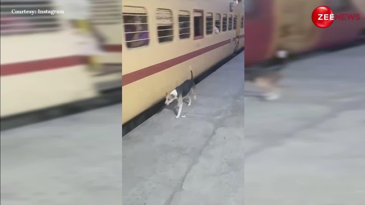 प्लेटफॉर्म पर चलती ट्रेन से लोगों की रखवाली करता नजर आया कुत्ता, देख लोग बोले- इसको सिक्योरिटी जॉब दो..