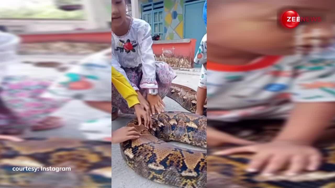 खतरनाक किंग कोबरा के साथ बच्चे खेलते आए नजर, लोगों ने कहा- सिंघम से पंगा ना लो