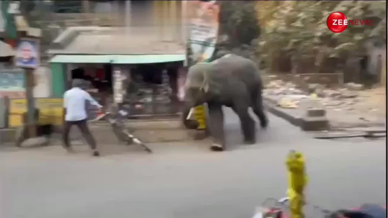 Singham जैसा सटका हाथी का दिमाग, रोड पर इंसानों से लेकर गाड़ी को उठाकर पटकने लगा