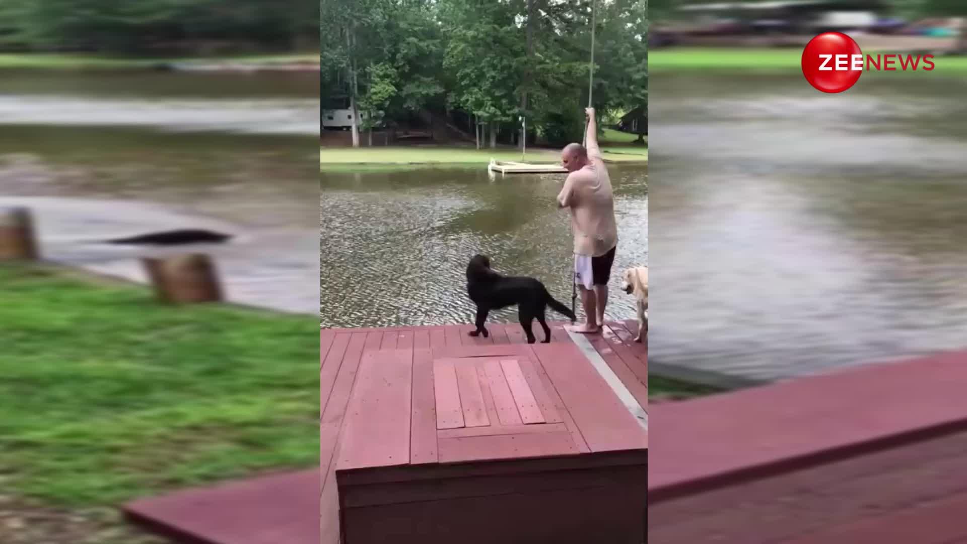 Video Viral:मालिक को बचाने के लिए कुत्ते ने पानी में लगाई छलांग, वीडियो देखकर भावुक हुए लोग