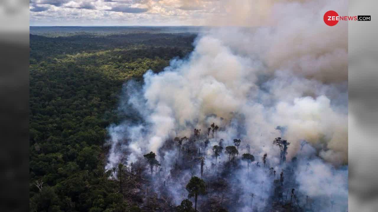 क्या फिर धुआं धुआं हो रहे हैं अमेजन के जंगल ?