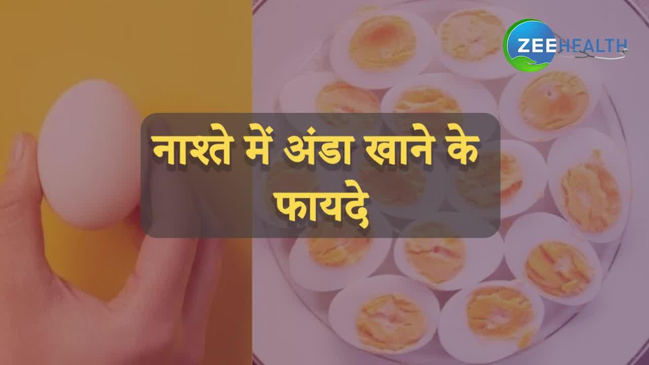 Video: नाश्ते में अंडा और ओट्स खाने से मिलते हैं शानदार फायदे, 1 मिनट में जानिए