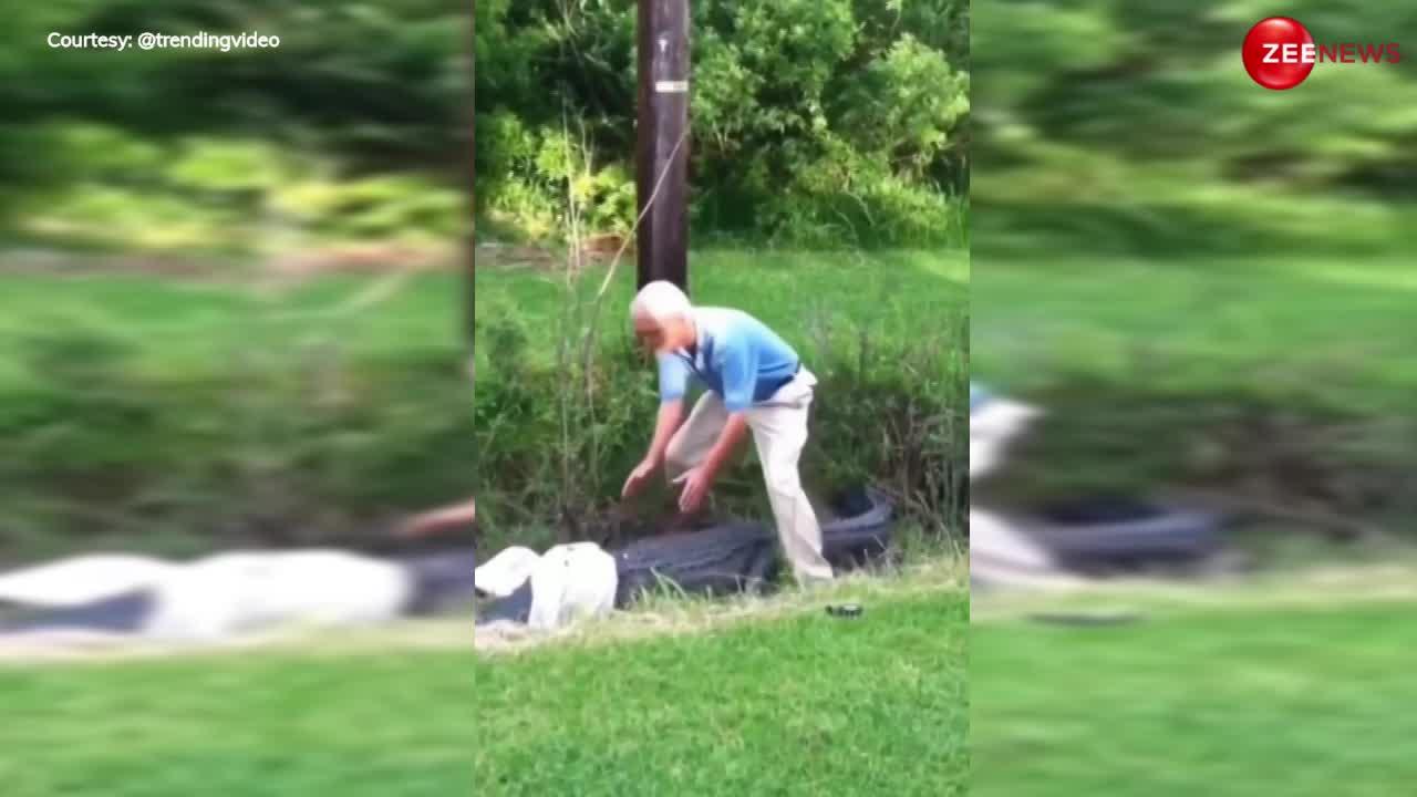 Crocodile Video: बूढ़े दादा जी ने मगरमच्छ के साथ की ऐसी हरकत, पड़ गया महंगा, देख कांप जाएगी रूह