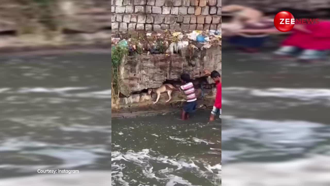 दो छोटे बच्चों ने बाढ़ के पानी में घुस मासूम DOGGY को निकाला बाहर, लोग बोले- महादेव का करिश्मा