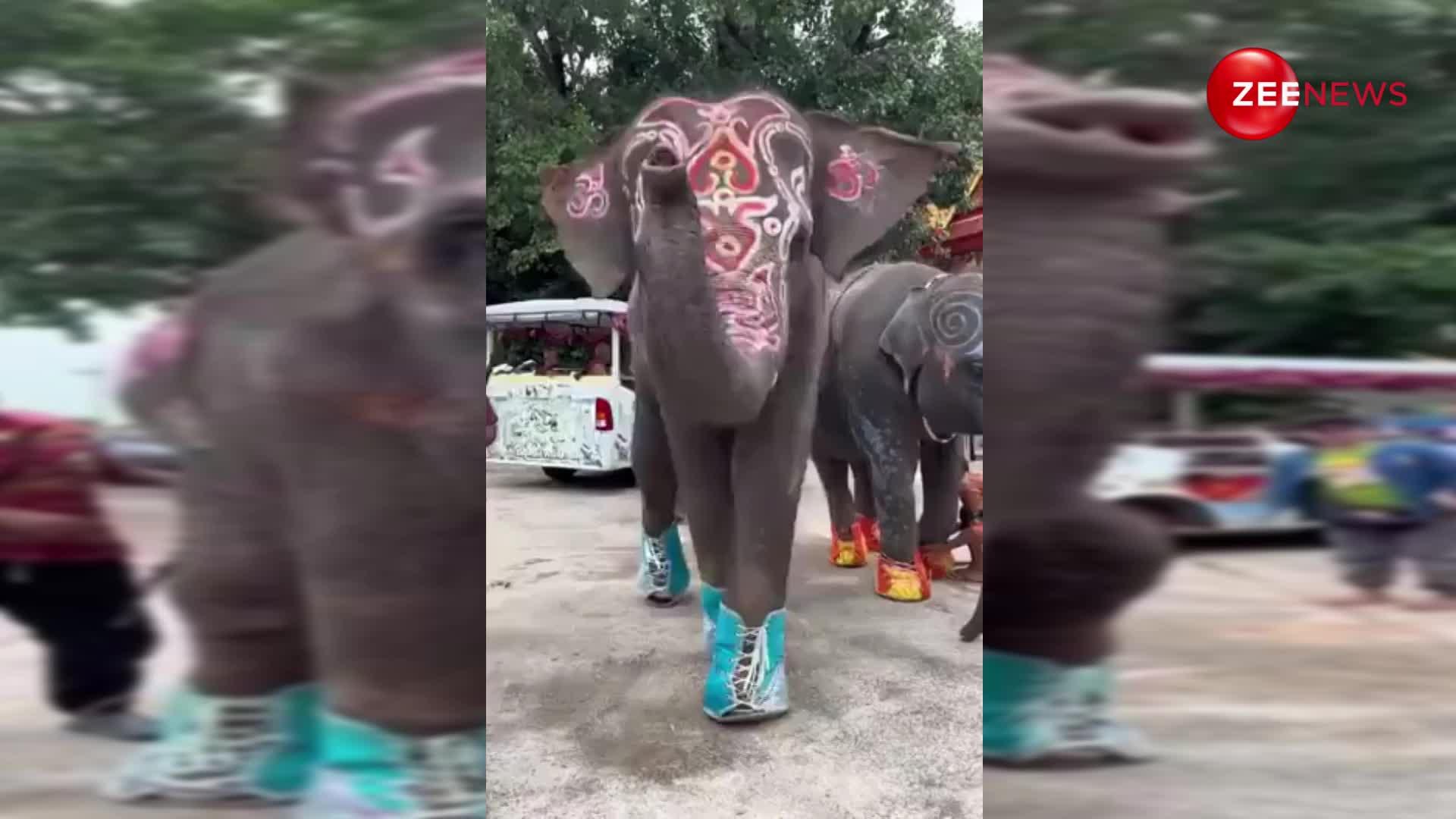 Viral Video: हाथी ने जूते पहनकर किया जमीन पर लोट-लोट कर डांस, वीडियो देखकर हो जाएंगे थिरकने को मजबूर
