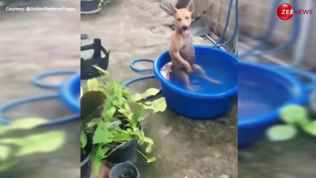 Dog Cute Video: पानी से भरी हुई टब में बैठकर कुत्ते ने की मस्ती, देख बोले लोग- जिंदगी के मजे तो यही ले रहे है