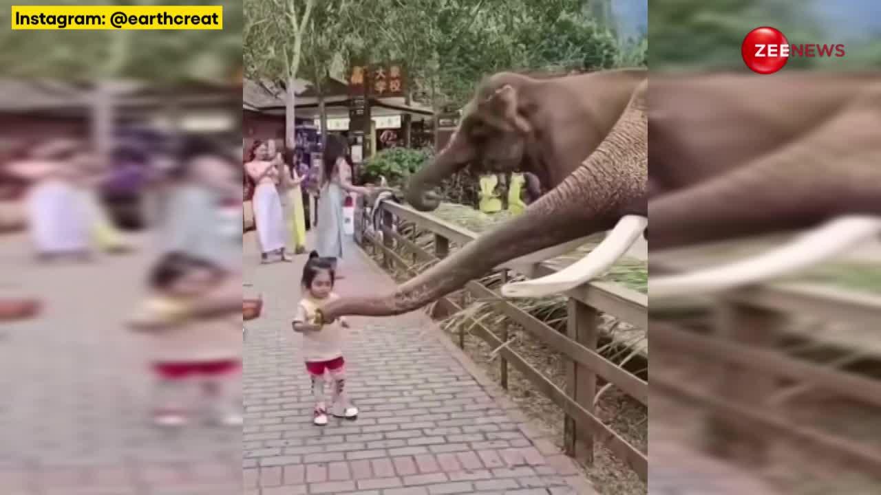 छोटी बच्ची का खाना छीन कर खा गया सड़क पर खड़ा हाथी, चेहरा देख आपको भी आ जाएगा तरस