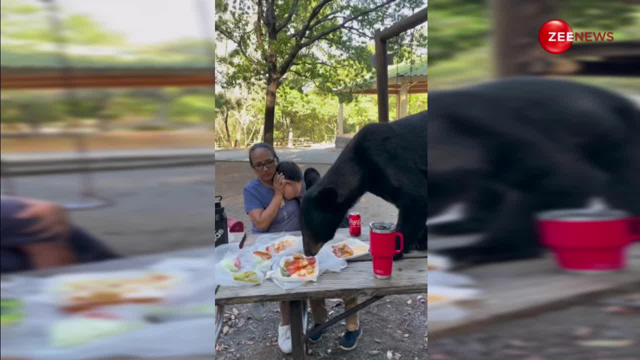 Viral Video: मां-बेटे की पार्टी में पिज्जा-बर्गर खाने जंगल से आया भालू, फिर ऐसे बची दोनों की जान