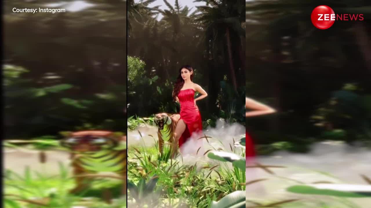 Mouni Roy ने टाइगर के साथ पोज, रेड ड्रेस पहन दिखाया हुस्न, वीडियो हुआ तेजी से वायरल