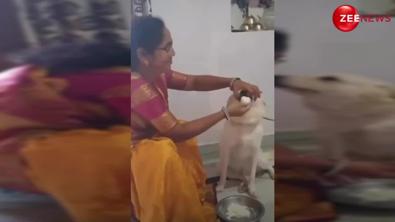 Dog cute video: महिला ने कुत्ते को खिलाया अपने हाथों से चावल, रिएक्शन देख आप हो जाएंगे भावुक