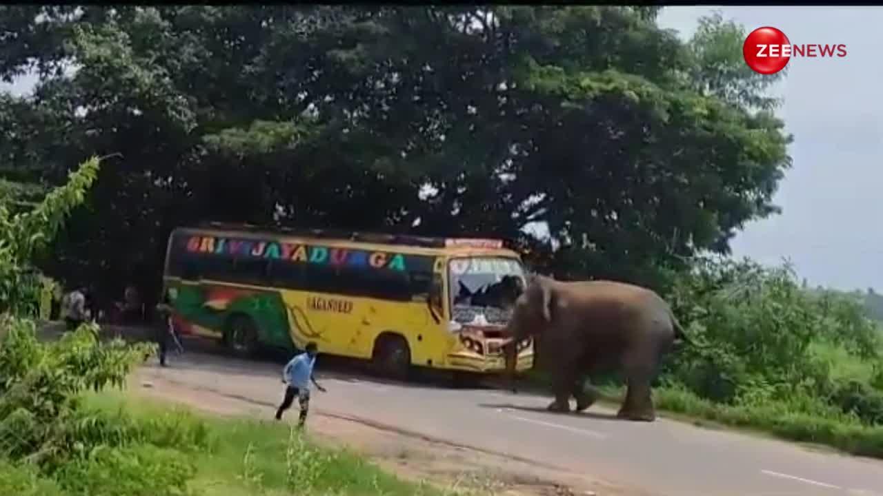 यात्रियों से भरी बस पर हाथी ने उतारा अपना गुस्सा, टक्कर मार कर तोड़ दिया शीशा; वीडियो देख छूट जाएगी कंपकंपी
