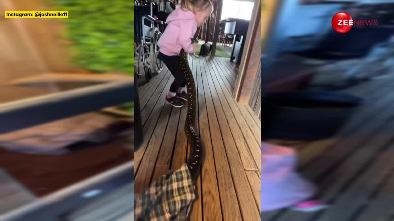 थैले से 10 फुट लंबा कोबरा सांप निकाल कर खेलने लगी छोटी सी बच्ची, वीडियो देख आश्चर्यचकित हुए लोग