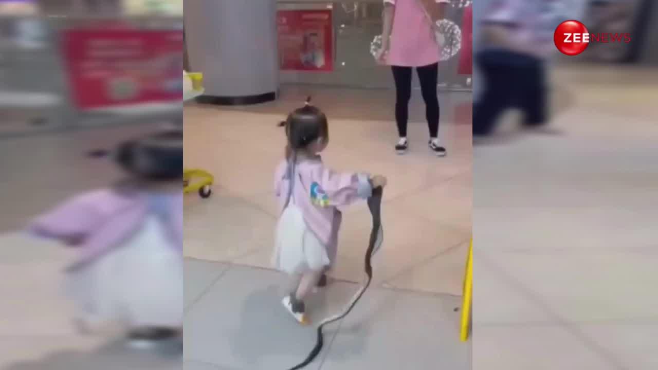खिलौना समझकर कोबरा को उठाकर चल दी 2 साल की बच्ची, फिर जो हुआ देख डर गए लोग