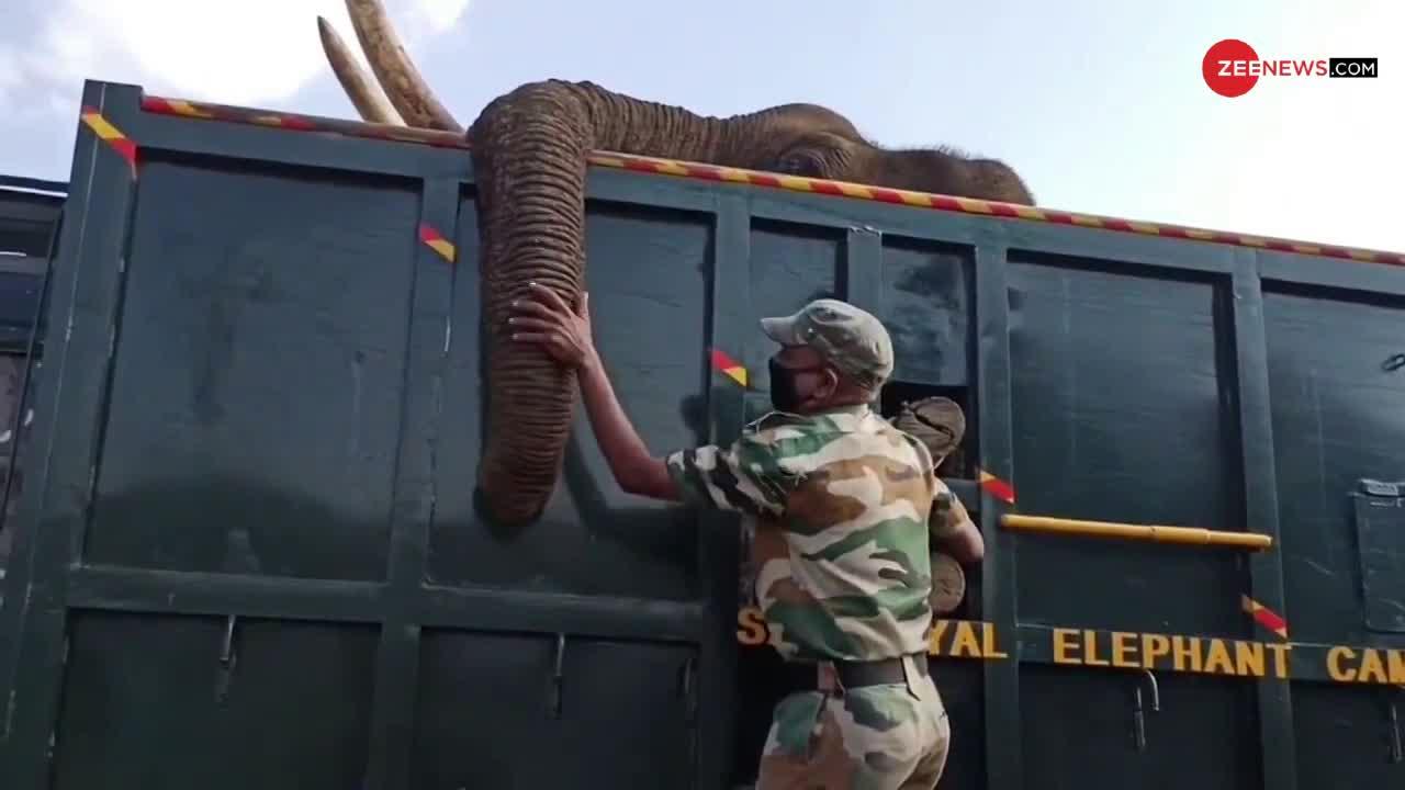 मृत हाथी को अंतिम विदाई देते वक्त रो पड़ा रेंजर, भावुक कर देने वाला वीडियो आया सामने