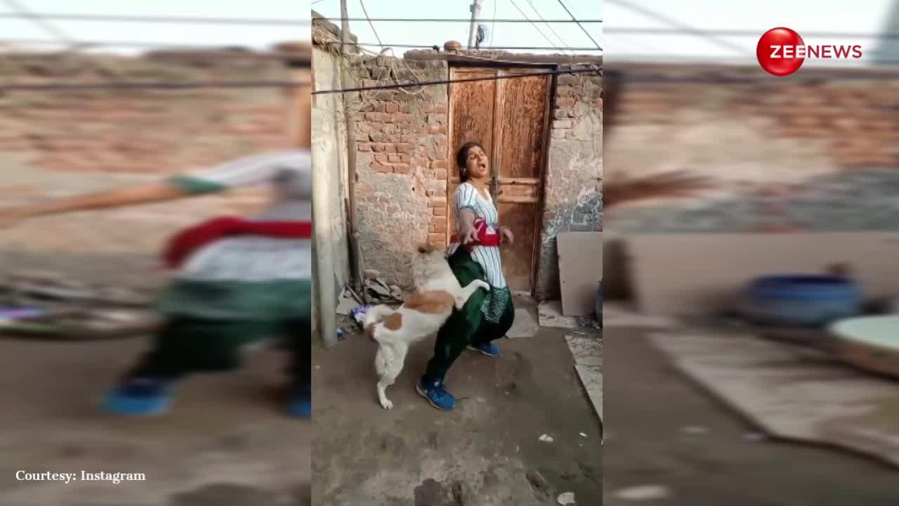 लड़की के खतरनाक डांस से इरिटेट हो गया कुत्ता, वीडियो देख हंसते-हंसते गिर पड़ेंगे आप