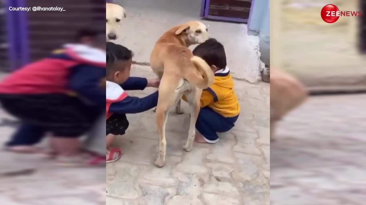 Child Dog: छोटे बच्चों ने कुत्ते के साथ की ऐसी हरकत, देखकर नहीं रुकेगी हंसी