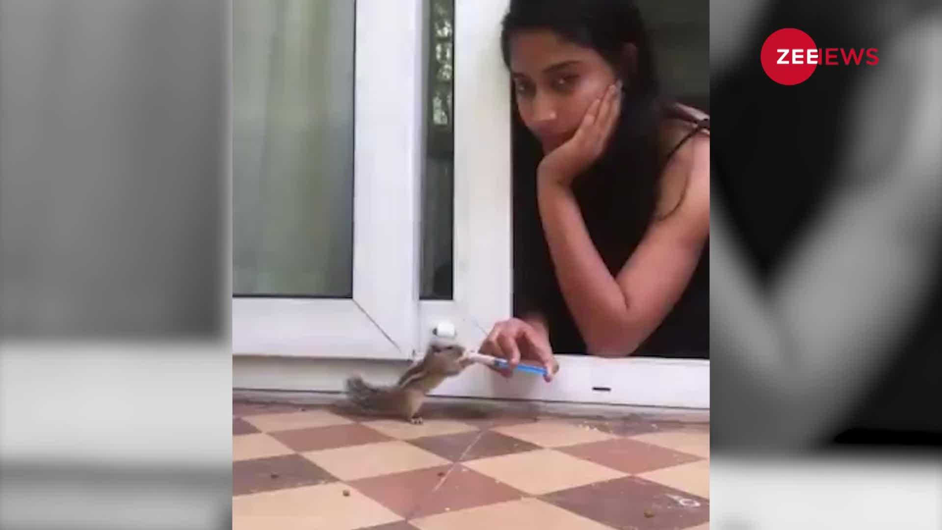 Viral Video: लड़की ने गिलहरी को कुछ ऐसे पिलाया पानी, लोगों ने की जमकर तारीफ