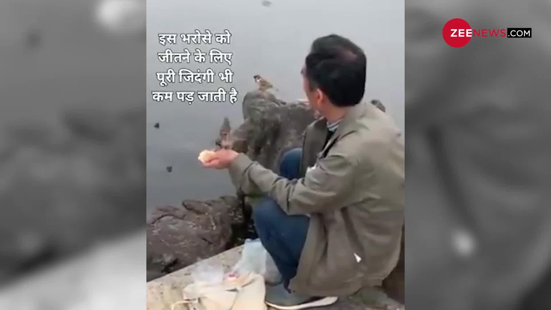 Viral Video: कछुओं को खाने खिलाने गया शख्स तो हुआ कुछ ऐसा, वीडियो देख आप भी हो जाएंगे हैरान
