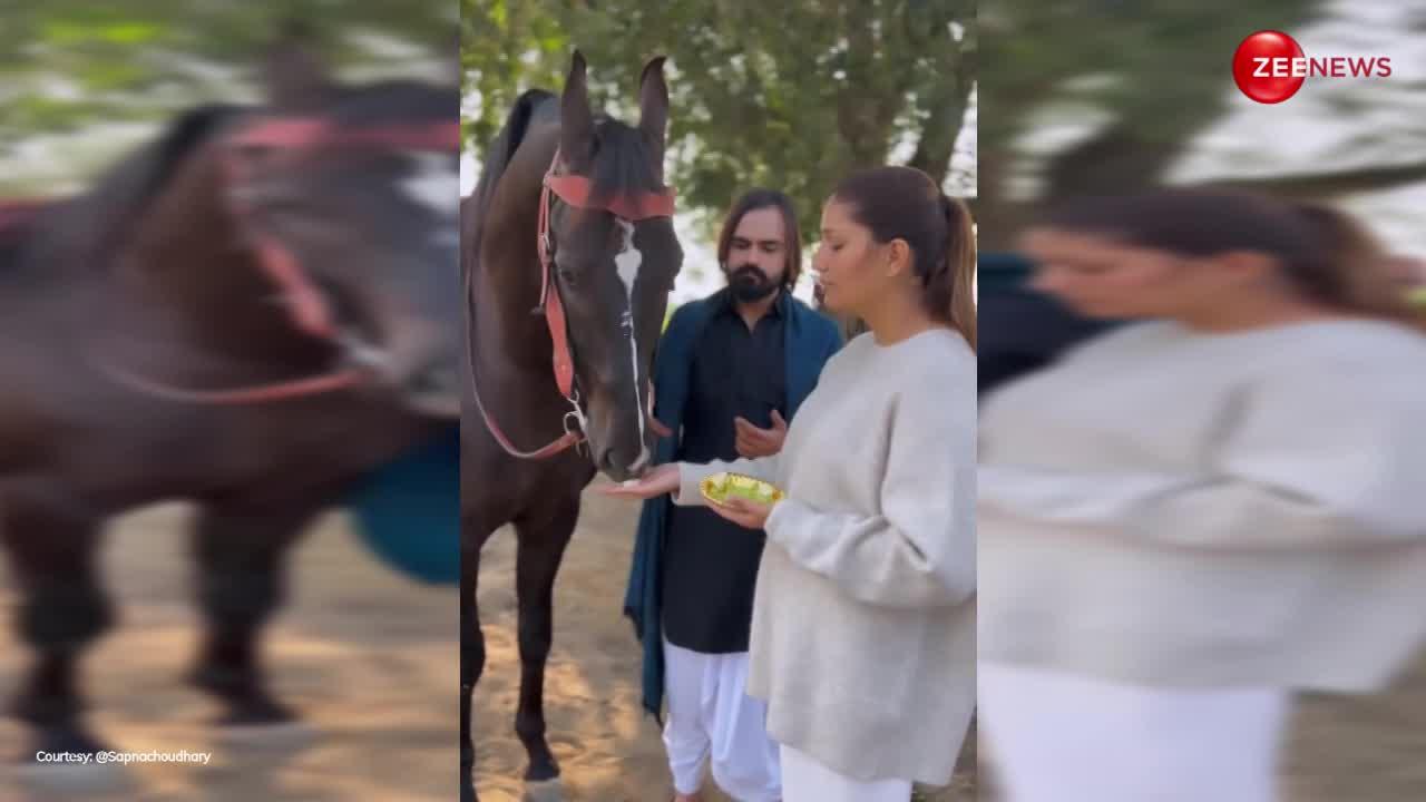 पति के साथ घोड़े को अंगूर खिला रही थी Sapna Choudhary, दोनों को उतरा हुआ चेहरा देख; बोले लोग- लड़ाई हुई है क्या