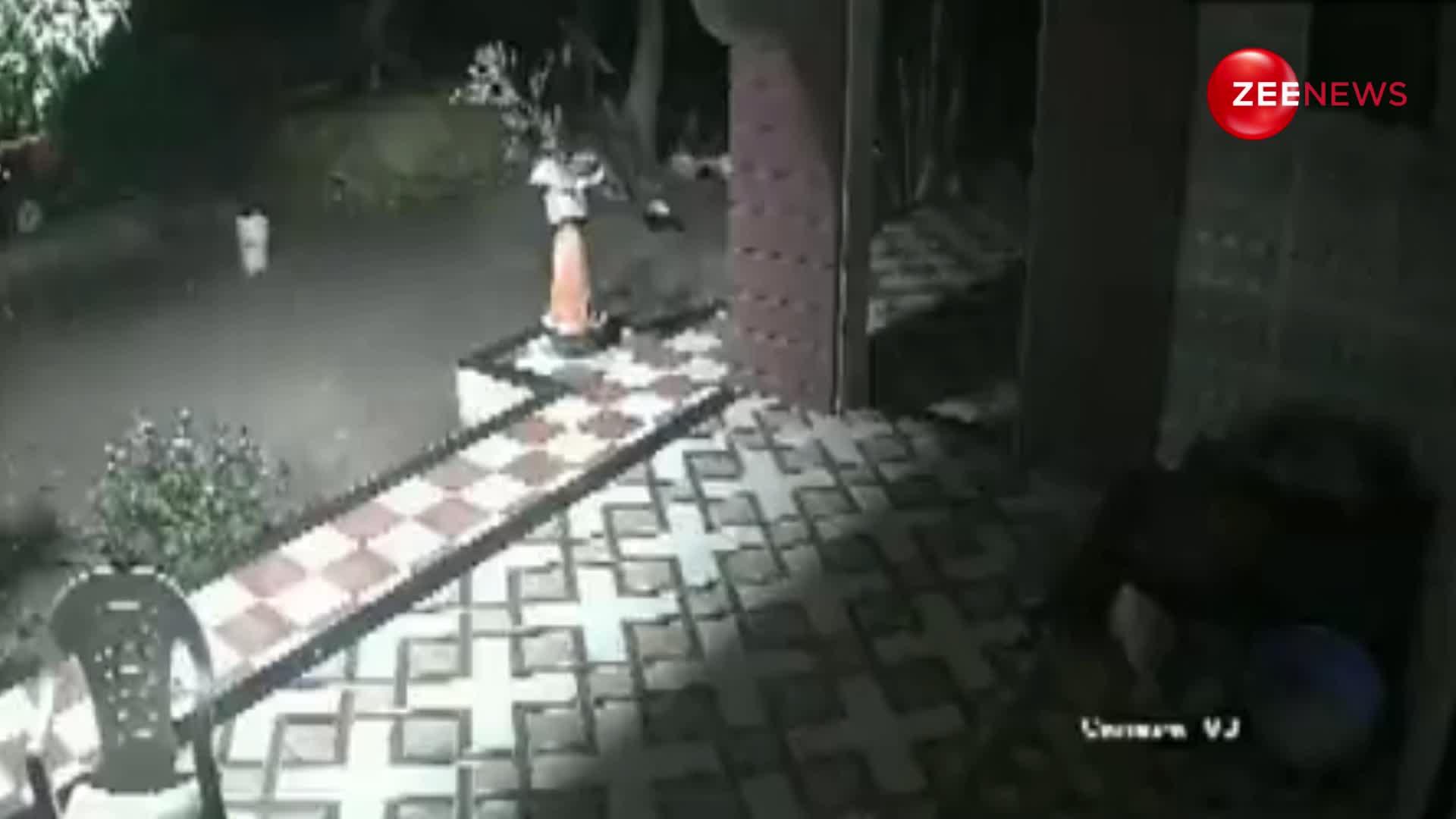 रात के अंधेरे में घर में घुस गया तेंदुआ, कुत्ते ने बड़ी चालाकी से बचाई मालिक की जान