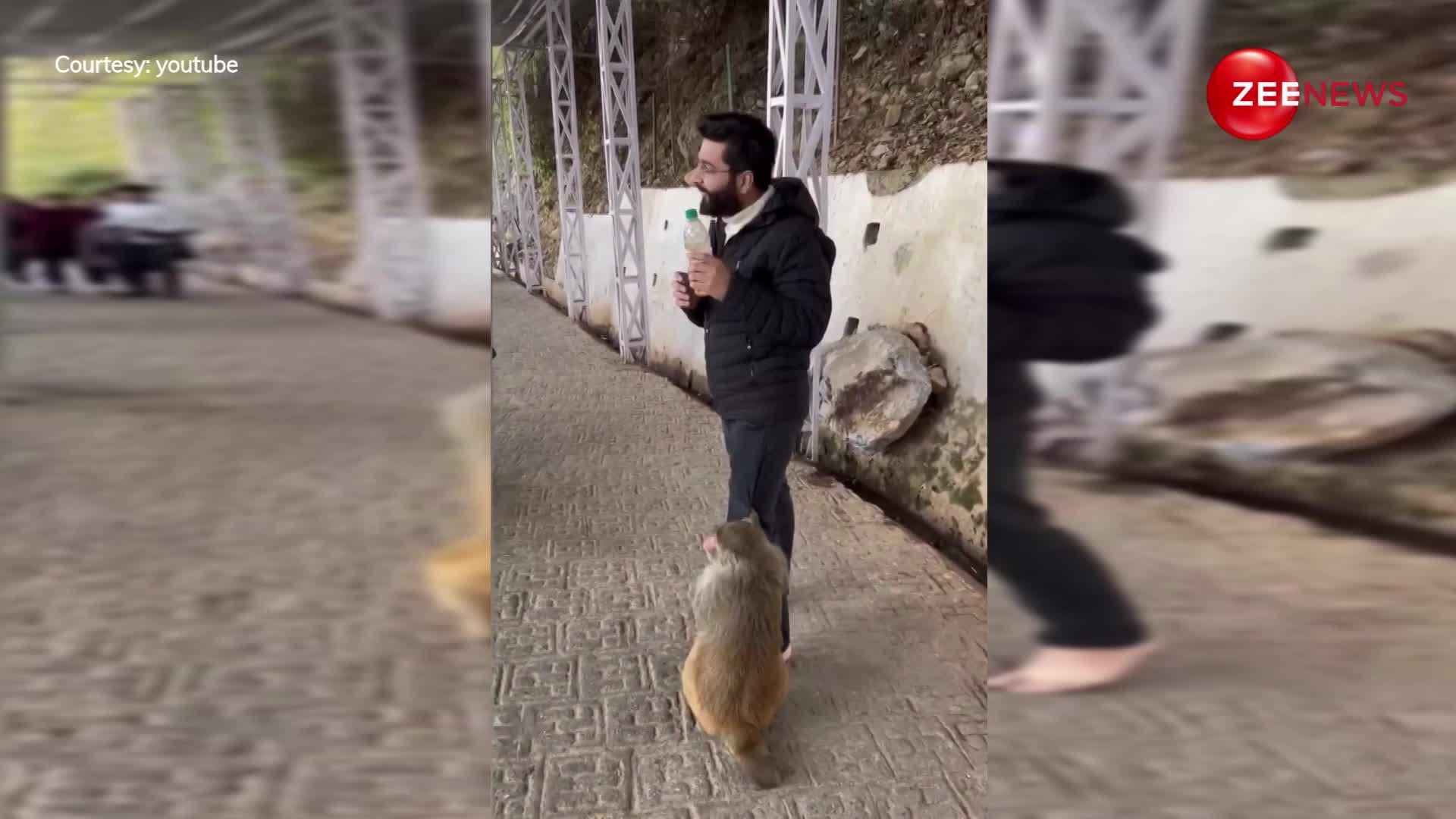 Viral Video: बंदर ने आदमी से छीन ली ये चीज, देखकर आप भी हो जाएंगे हैरान