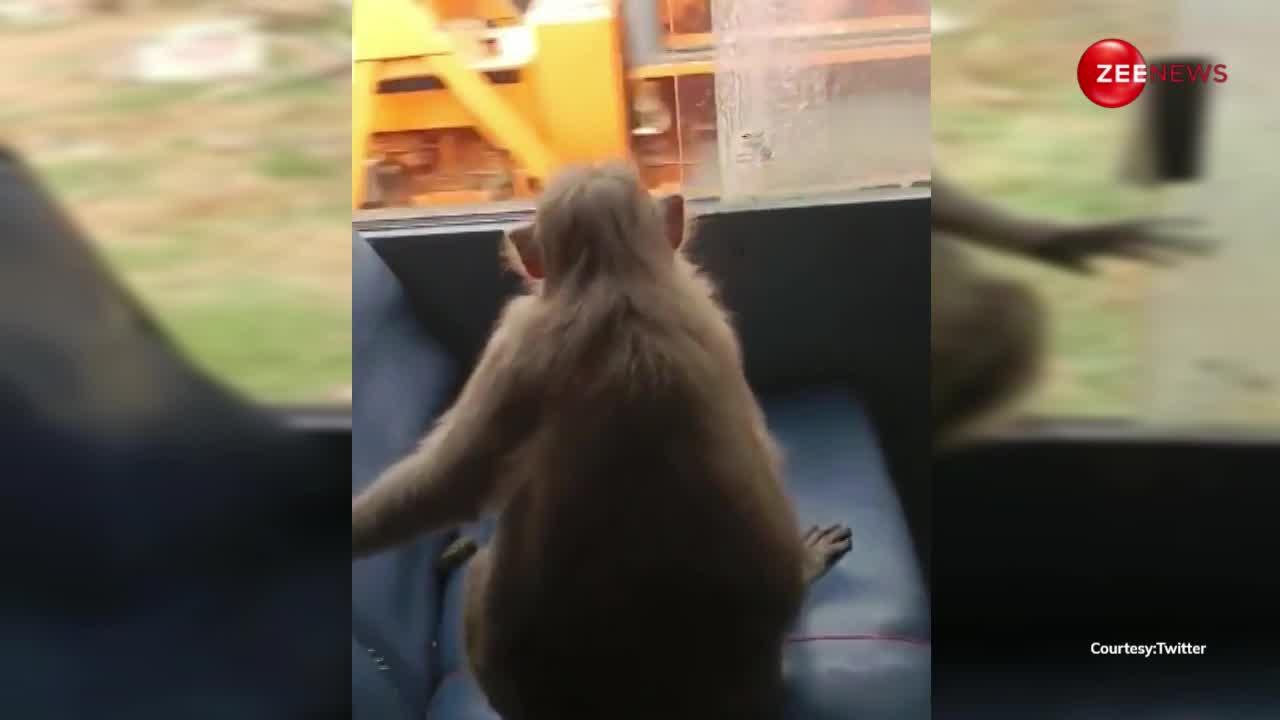 सरकारी बस में बैठ बंदर ने 30 km तक का किया सफर, वीडियो देख यूजर ने बोला-विंडो सीट का मजा लूट रहा है!