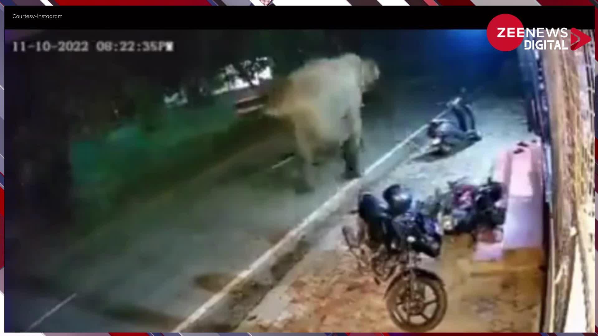 Viral Video: अचानक रात को लोगों के पीछे दौड़ने लगा जंगली हाथी, जान बचाकर भागे लोग