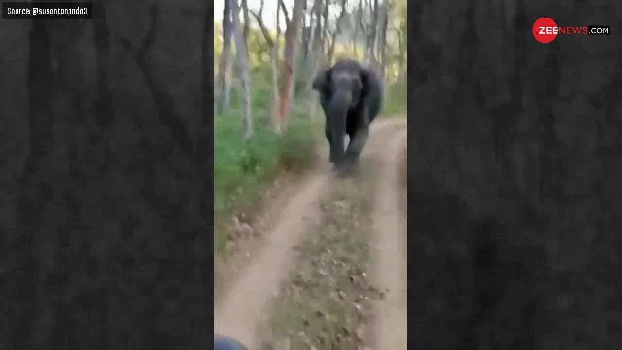 Viral Video: जंगल के बीच हाथियों ने कर दिया पर्यटकों पर हमला, बाल-बाल बची जान