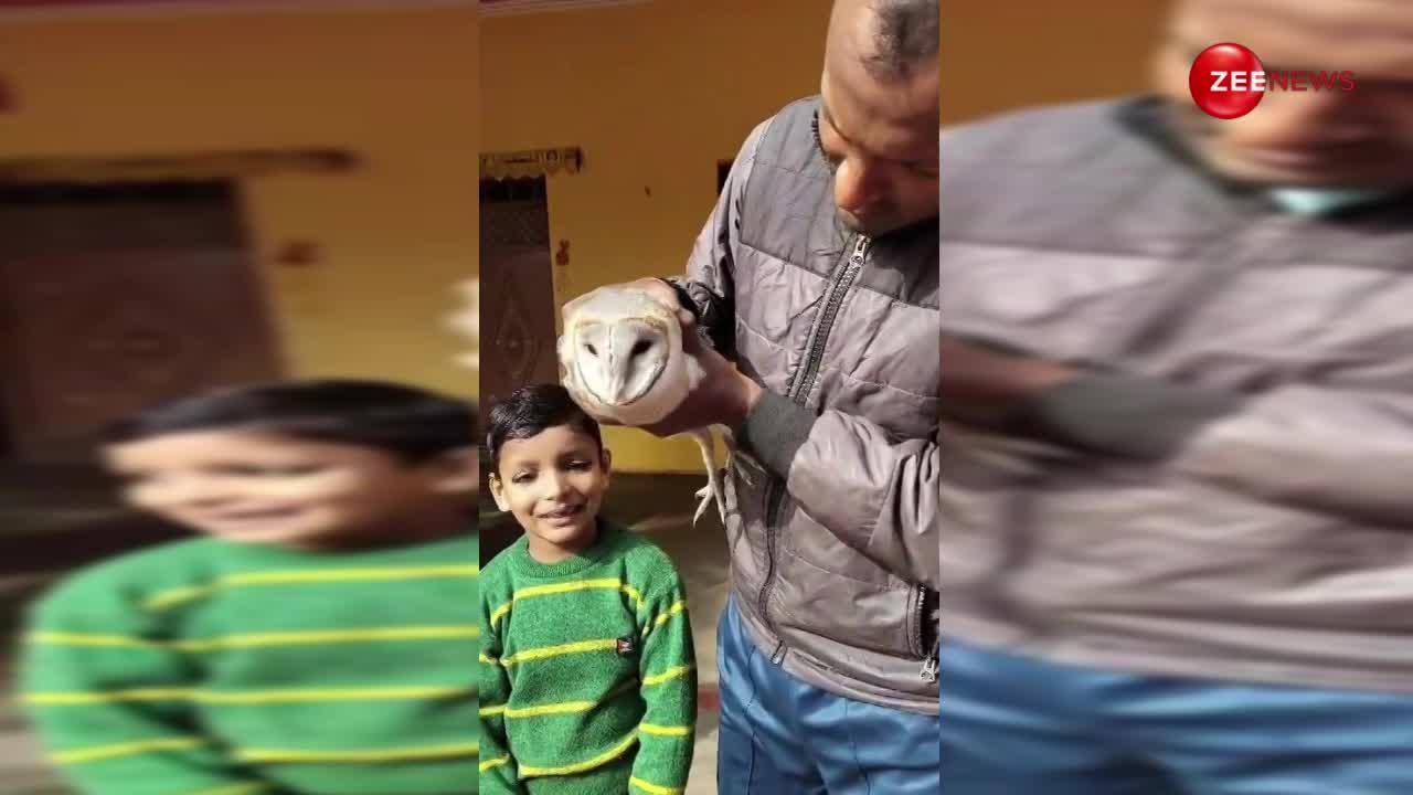 White Owl Video: कानपुर में मिला सफेद प्रजाति का उल्लू, देखने के लिए उमड़ पड़ी गांववालों की भीड़