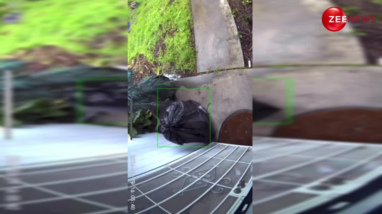 Viral Video: कचरे के बैग में छिपकर घर में घुसा चोर, ऐसी स्मार्टनेस देख लोगों ने उड़ाया मजाक