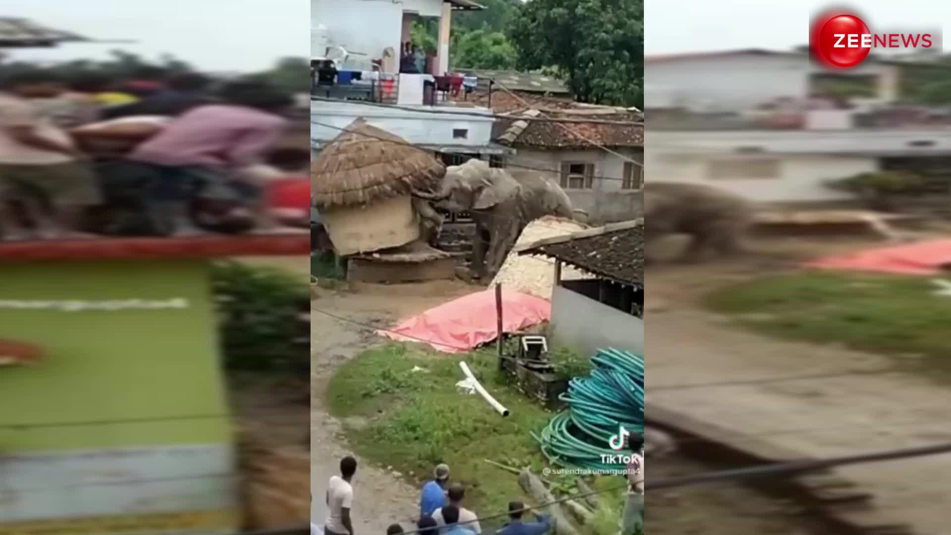 Eleephant Video: बस्ती में घुस आया जंगली हाथी, फिर किया कुछ ऐसा; जान बचाकर भागते दिखे लोग