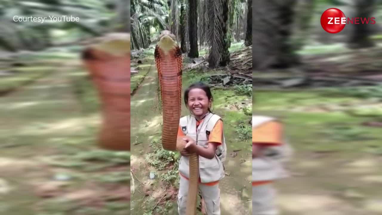 30 फुट के भयानक किंग कोबरा को हाथों में लेकर खड़ी है छोटी लड़की, देख कांप जाएगी आपकी रूह
