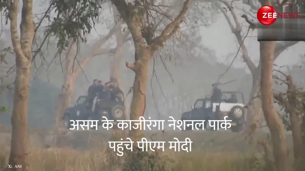 Modi in Assam: असम के काजीरंगी नेशनल पार्क पहुंचे PM Modi, हाथी पर बैठकर लिया जंगल सफारी का आनंद