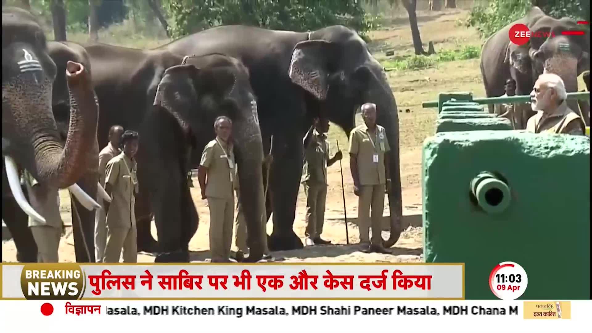 Mudumalai Tiger Reserve में पहुंचे PM Modi, हाथियों के शिविर से देखिए सीधी तस्वीर