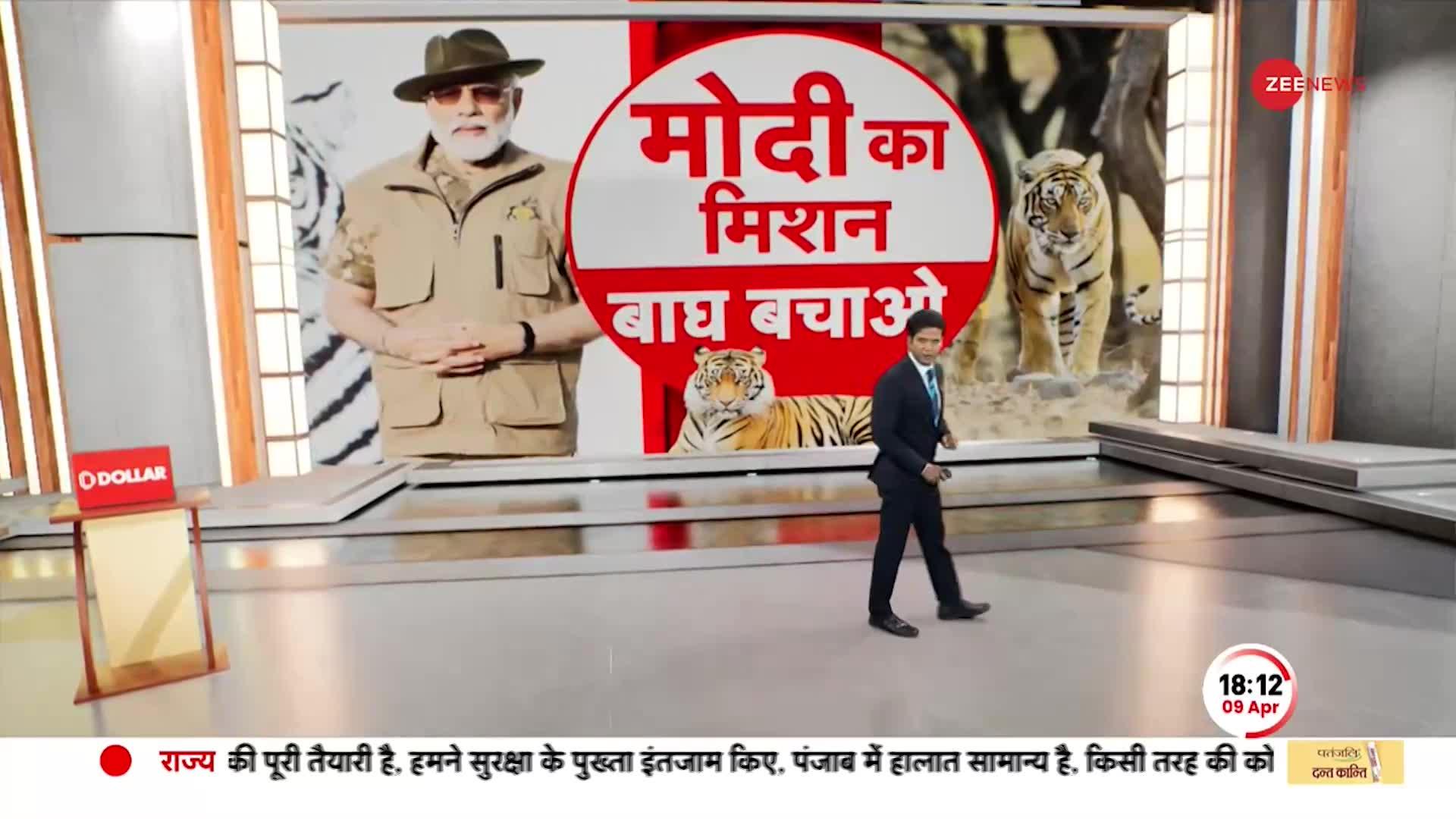 Deshhit: अमृतकाल का 'प्रोजेक्ट टाइगर', देश में बढ़ गई बाघों की संख्या