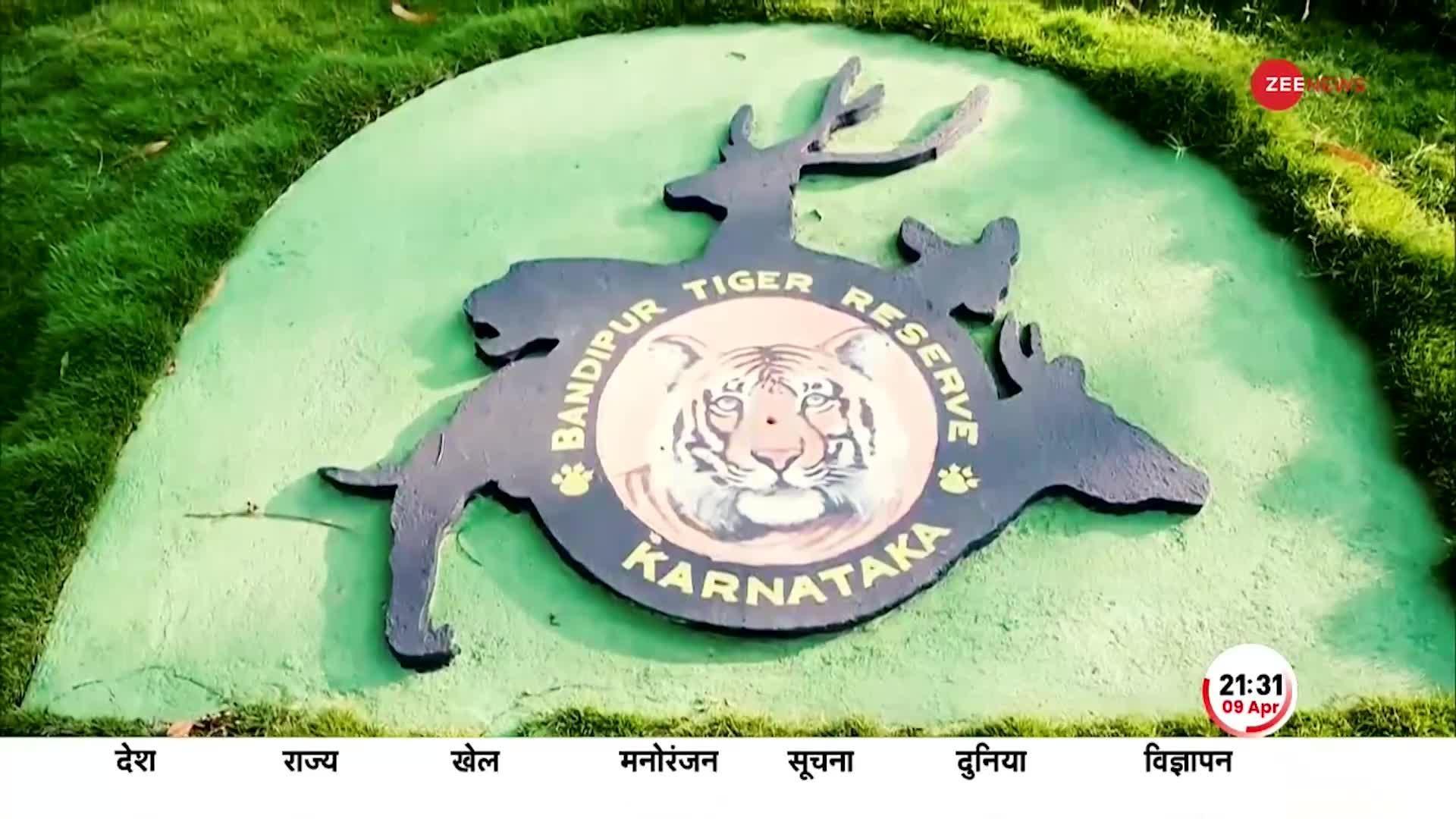 50 years of Project Tiger: मोदी का मिशन बाघ बचाओ, टाइगर...अबकी बार 3000 के पार