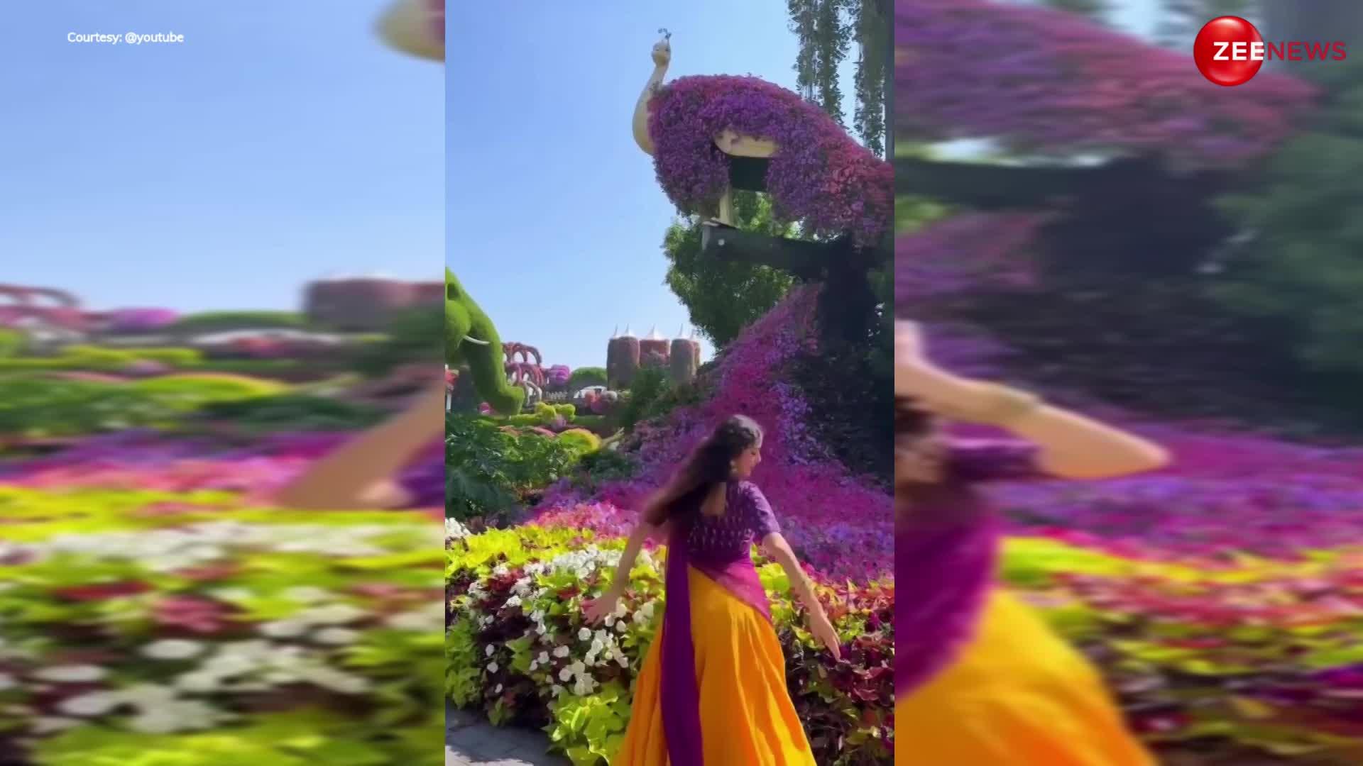Cute Girl Viral Dance: 'राधा कैसे ना जले' गाने पर फूलों के बगीचे में जाकर लड़की ने किया ऐसा डांस, देख मदहोश हुए लोग