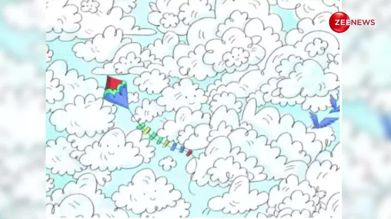 Video: बादलों में छिपकर बैठी है छोटी सी भेड़, अगर आपकी नजर भी है तेज तो 15 सेकंड में ढूंढ निकालो