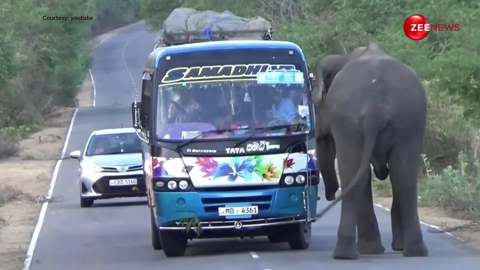 गुंडे की तरह चलती हुई बस में से खुराफाती जंगली हाथी ने निकाल लिया खाने का सामान, इतना सब देखने के बाद सहम गए लोग
