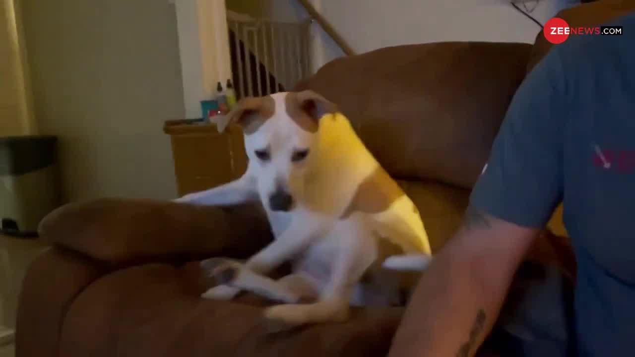 Viral Video : कुत्ते ने मालिक का हाथ पकड़कर करवाया चौंका देने वाला काम