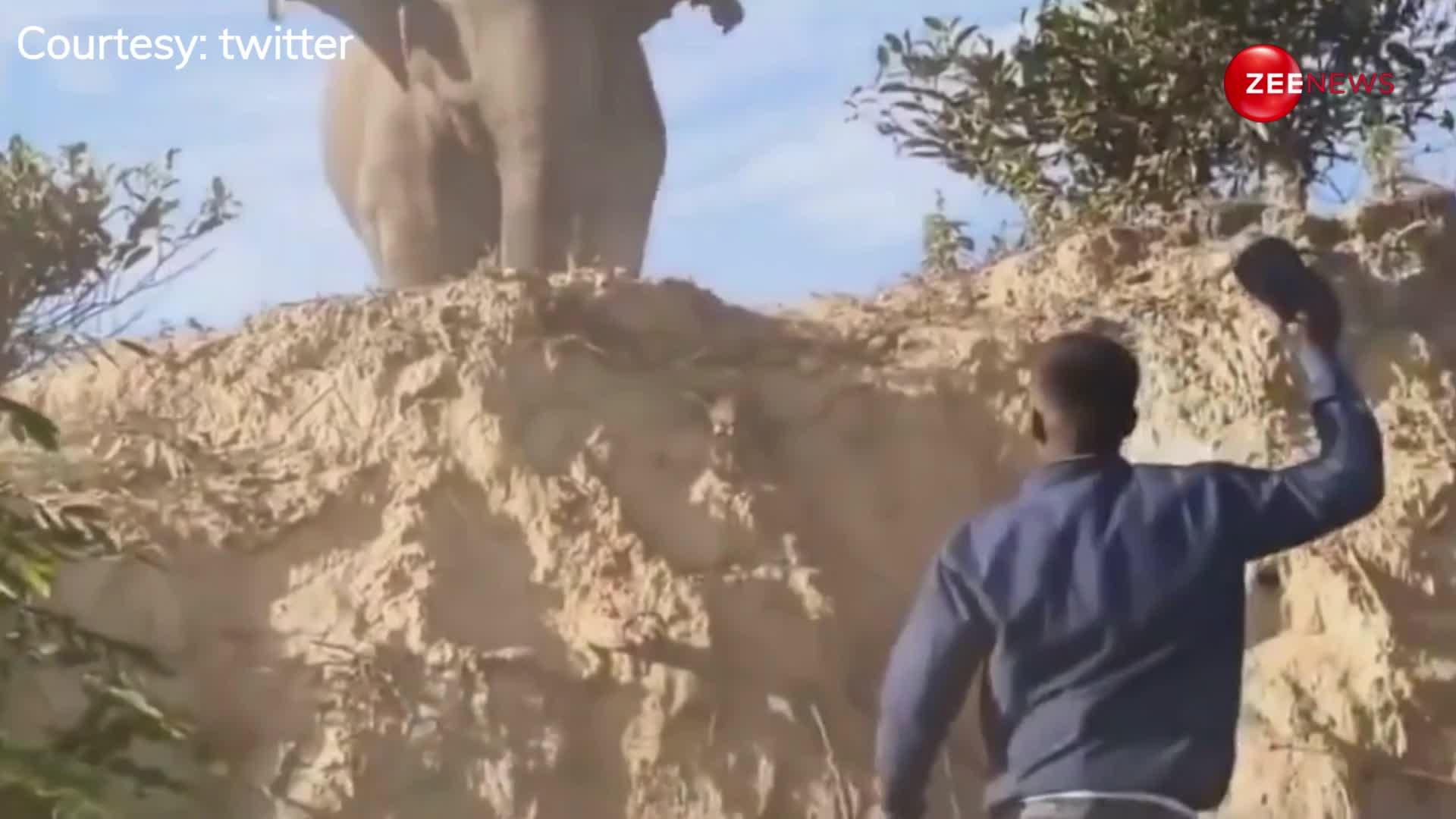 हाथी को चिड़ाना शख्स को पड़ा महंगा, जान बचाने को जंगल में लगाई दौड़; देखें ये वीडियो