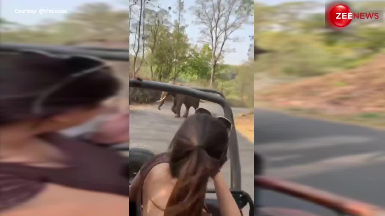 Viral Video: पीछे-पीछे गजराज, आगे-आगे गाड़ी..... जंगल में लड़कियों ने किया ऐसा कांड, भड़क गया हाथी, फिर...