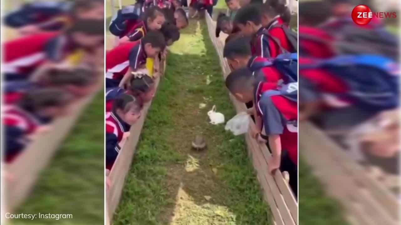 Viral: मिल गया कहानी वाला कछुआ..खरगोश से दौड़ में जीता तो बच्चों की खुशी का ठिकाना ही नहीं रहा..