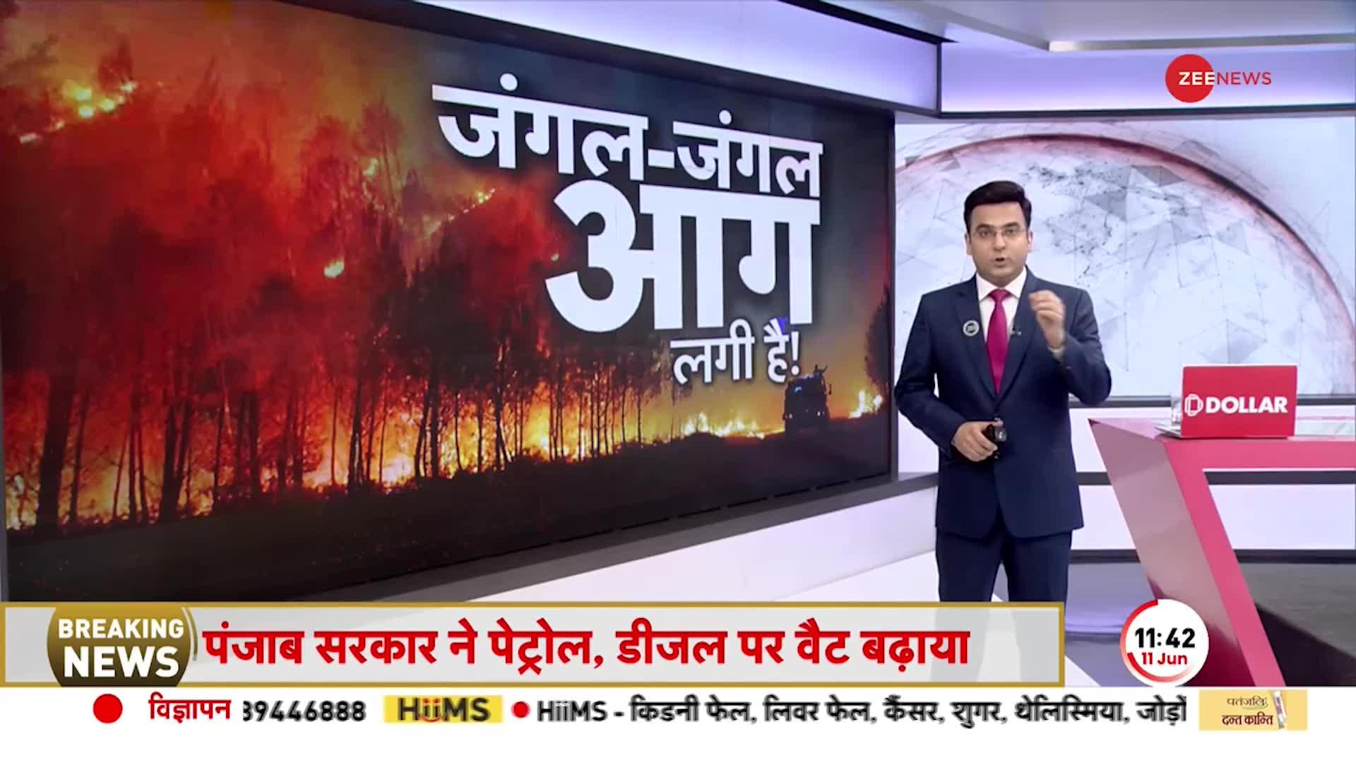 Uttarakhand: धधक रहे उत्तराखंड के जंगल, जंगल में क्याें बेकाबू हो रही है आग?