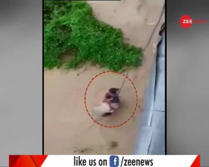 Video : नदी में अचानक आई बाढ़ में फंसे पति-पत्नी का किया गया रेस्क्यू