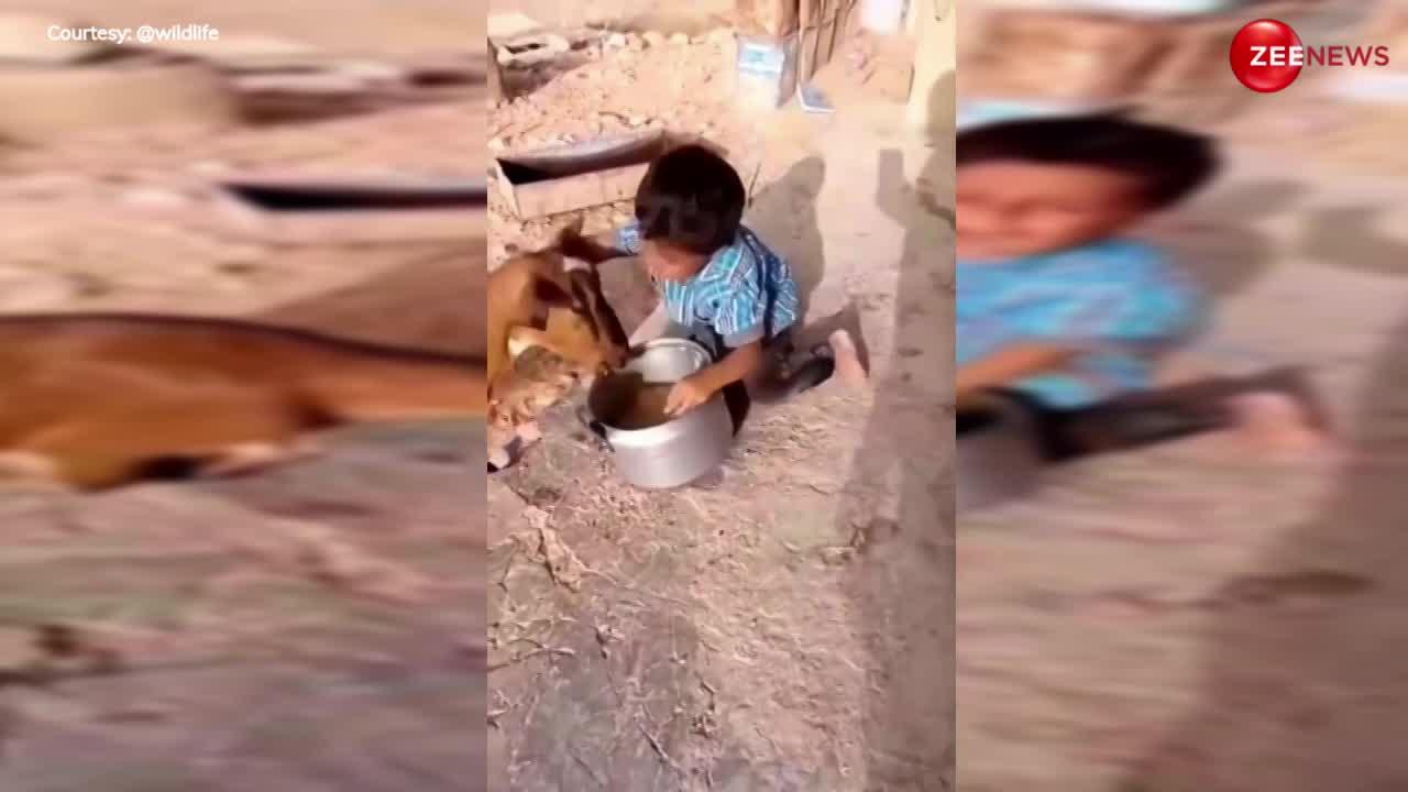 Viral Video: बकरी खा गई छोटे बच्चे का खाना, तो रो-रोकर किया बूरा हाल, फिर....