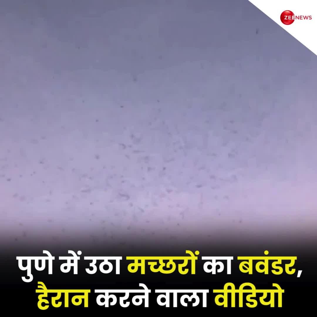 पुणे में उठा मच्छरों का बवंडर, हैरान करने वाला वीडियो